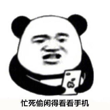 看看手机 搞笑 蠢萌 逗 熊猫头