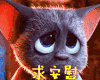 求安慰 精灵旅社