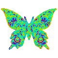 幻觉 幻觉 霓虹灯 酸的 LSD 丰富多彩的  蝴蝶 跳闸 幻觉的博客 幻觉的博客 幻觉的 蝴蝶