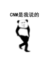 熊猫头 CNM是我说的 斗图 搞笑 猥琐