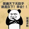 装遍天下无敌手 就是在下 幸会 装逼求败