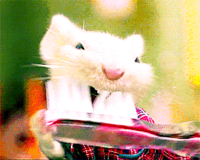 刷牙 老鼠 可爱 搞笑