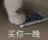 萌宠 猫星人 买你一晚 猫爪 呆萌 可爱