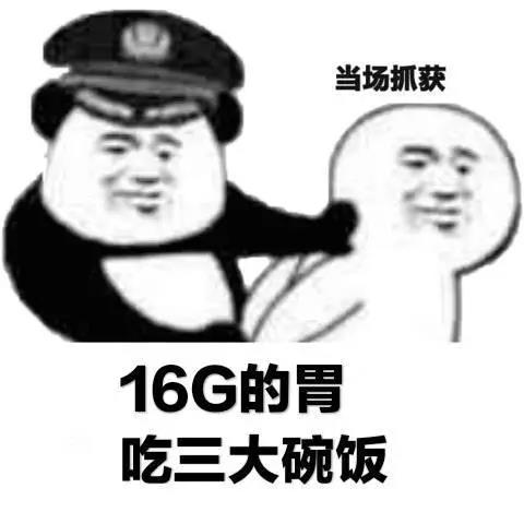当场逮捕 熊猫头