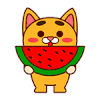 表情包 吃西瓜 壮壮 壮壮猫吃货篇 吃货