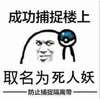 成功捕捉楼上，取名为死人妖,
  恶搞   哼哼    搞笑   球