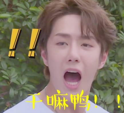 王一博 搞笑 明星 极限挑战 小哥哥