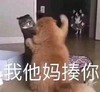 萌宠 喵星人 我他妈揍你 打你 搞怪 逗