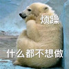 萌宠 狗熊 烦躁 什么都不想做 搞怪 逗