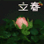 立春 节气 春天 春意盎然 soogif soogif出品