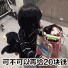 抖音表情 抖音表情包 抖音 抖音套路 权律二要钱 权律二 零花钱