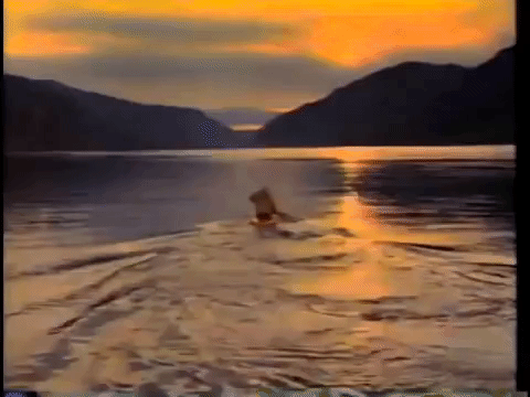 皮划艇 canoe and kayak 风景 风光