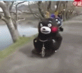 熊本熊 骑车 撞人 杯具