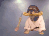 狗狗 萌宠 骨头双截棍 可爱