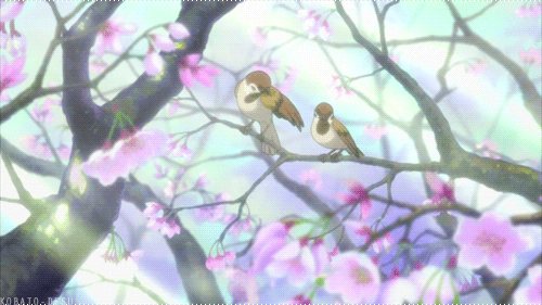 两只黄鹂鸣翠柳 樱花树 抖动 萌萌的动物  二次元 樱花烂漫