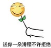 卡通 黄色 圆脸 微笑 叶子 送你一朵滑稽 不许拒绝