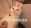 萌宠 猫星人 流下了悔恨的泪水 难受 搞怪 呆萌