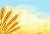 芒种 二十四节气