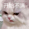 萌宠 猫星人 开始不满 生气 呆萌 可爱