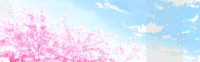 蓝天 白云 树 花
