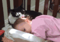 小猫 小孩 黑色 粉色