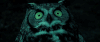 猫头鹰 黑夜 卖萌 我美吗 天然呆  owl