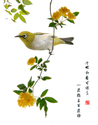 小鸟 树叶 树枝 黄色的花