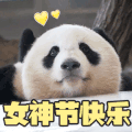萌宠 熊猫 女神节快乐 开心 搞怪 呆萌