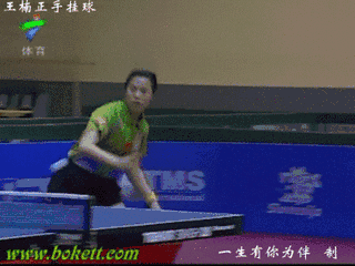 世界冠军 乒乓球 打球 运动员 王楠