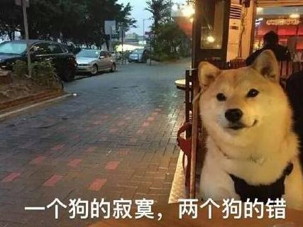 汪星人 单身狗 搞笑 文字表情包 光棍节