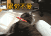 累觉不爱