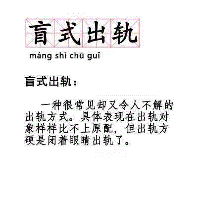 90新詞匯 新詞匯 盲式出軌