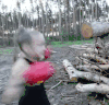拳击 女汉子 猛女 可爱