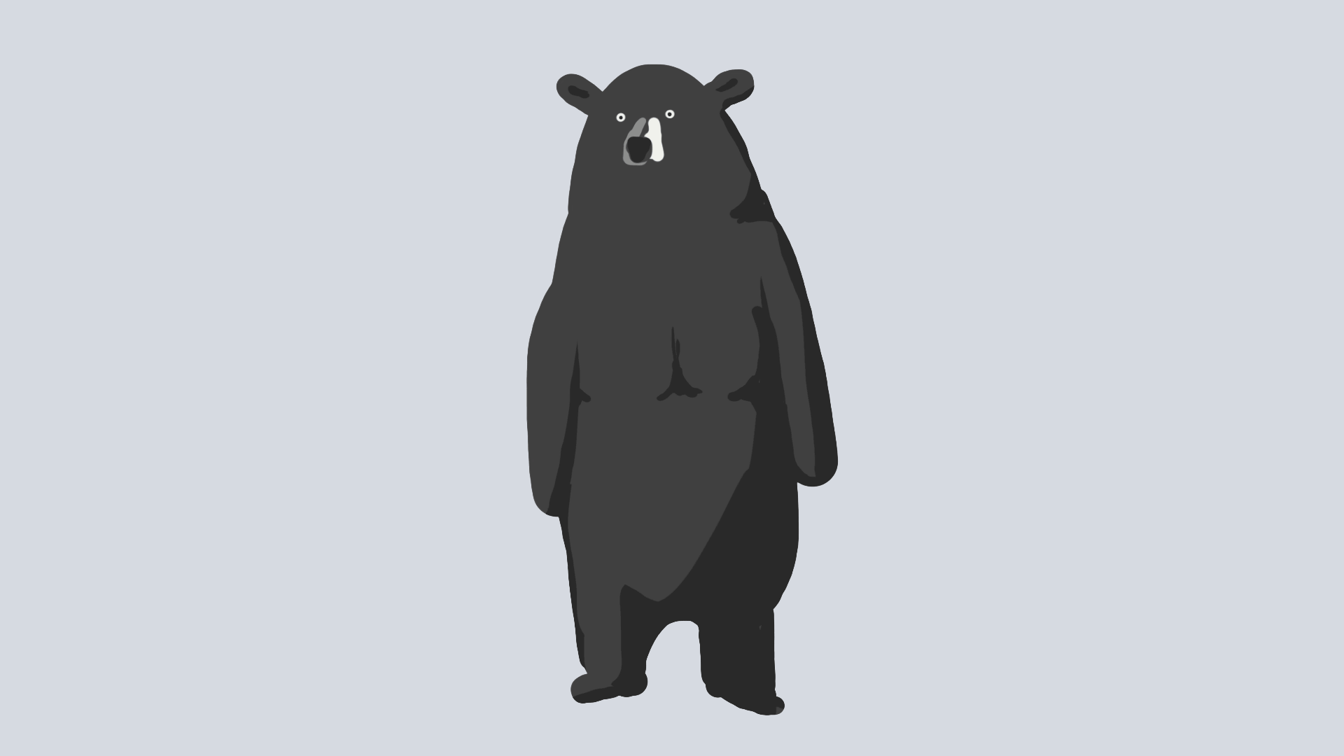 熊 bear 二维 动画