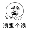 斗图 暴漫 黑白表情 金馆长 浪里个浪 soogif soogif出品