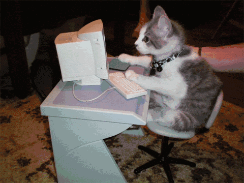 猫咪 电脑 学习 学习PPT