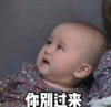 萌娃 本特利 你别过来 搞怪 呆萌 逗