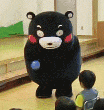 熊本熊 玩球 宝贝 可爱