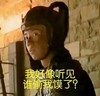 好像听见 搞笑 斗图 滑稽