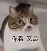 萌寵 貓咪 你看又急 呆萌 可愛