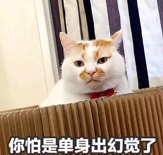 暴漫熊猫头你怕是单身出现幻觉了嫌弃搞怪逗gif动图