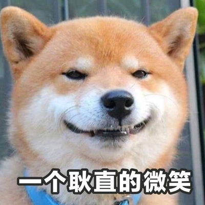 一只狗露齿笑的表情包图片