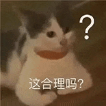 萌宠 猫咪 这合理吗 呆萌 可爱