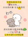 布布 可爱 情侣 搞笑