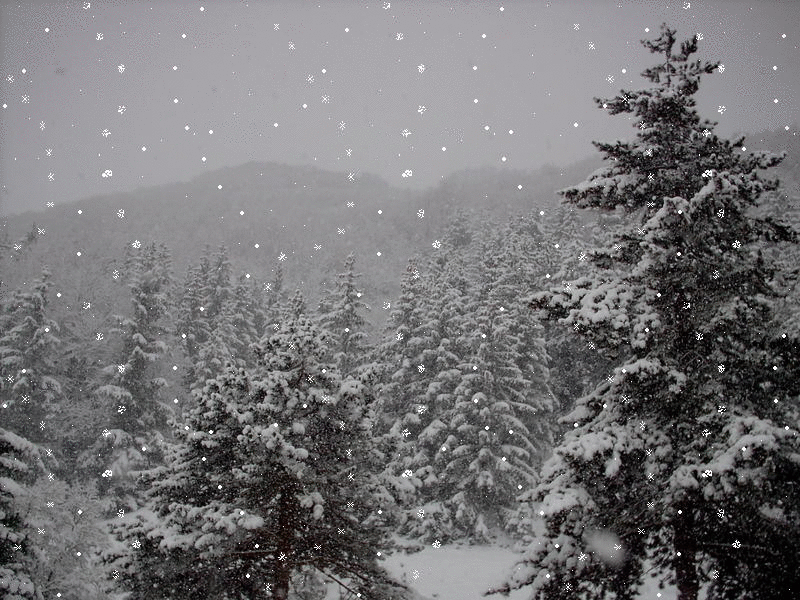 动态壁纸雪景图片图片