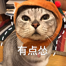 萌宠猫咪猫喵星人有点怂害怕gif动图_动态图_表情包下载_soogif