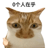 萌宠 猫咪 0个人在乎 呆萌 可爱