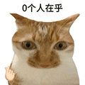 萌宠 猫咪 0个人在乎 呆萌 可爱