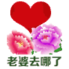 老婆去哪了 情侣 实用 日常 可爱 搞笑