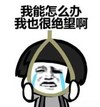 暴漫 文字表情包 我能怎么办我也很绝望啊 搞笑 逗 沙雕